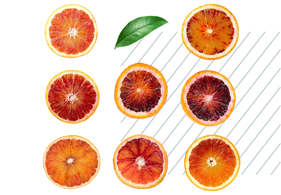 Succhi e derivati di agrumi - Red Island