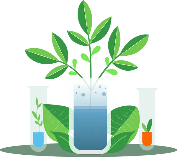 Sostenibilità | Red Island