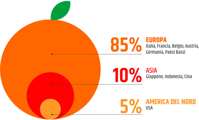 Red Island - Identità e Valori