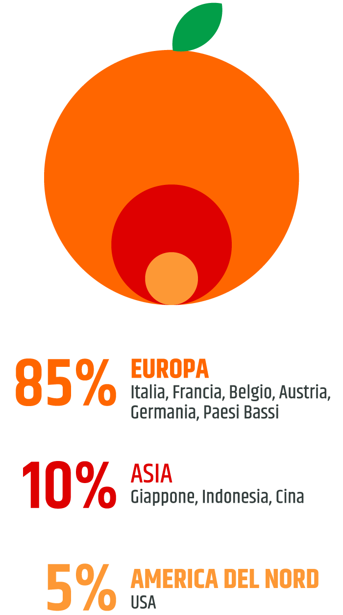 Red Island - Identità e Valori