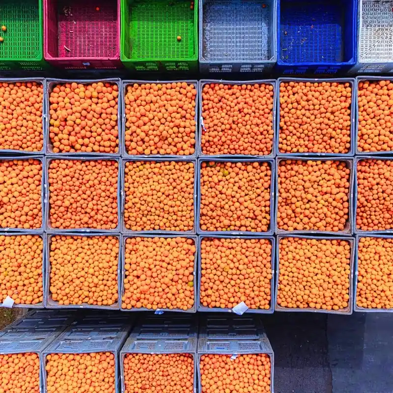 Identità e valori | Red Island Trasformazione Agrumaria