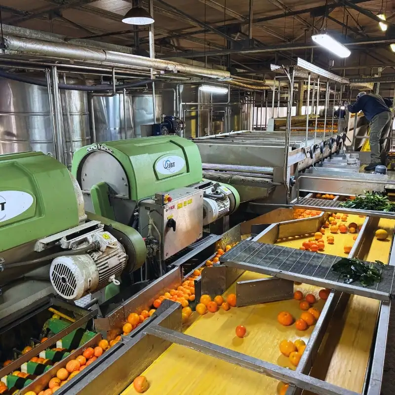 Produzione e packaging | Red Island Trasformazione Agrumaria