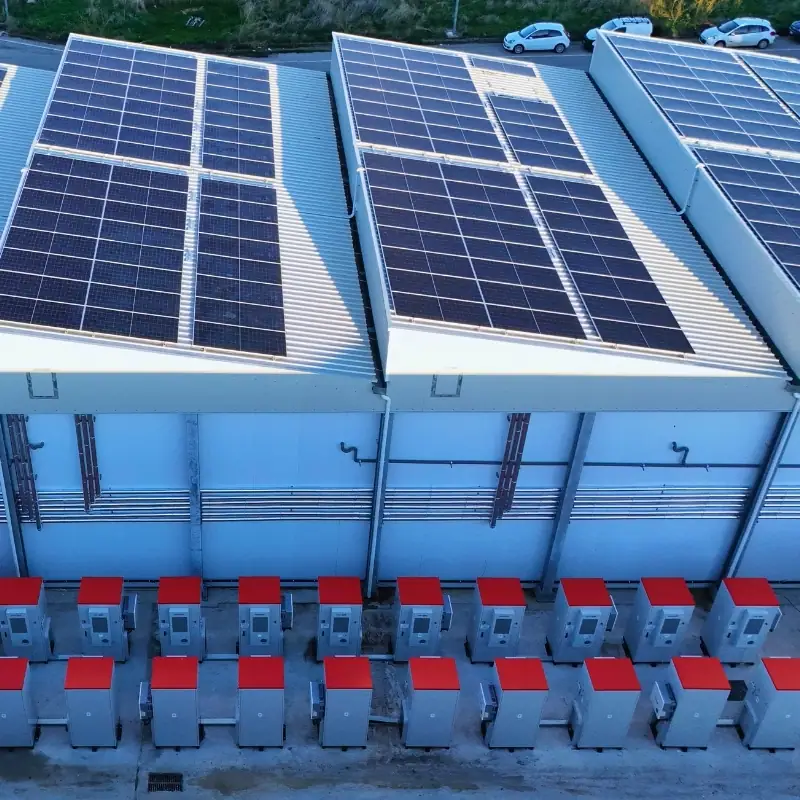 Stoccaggio e logistica | Servizi Red Island